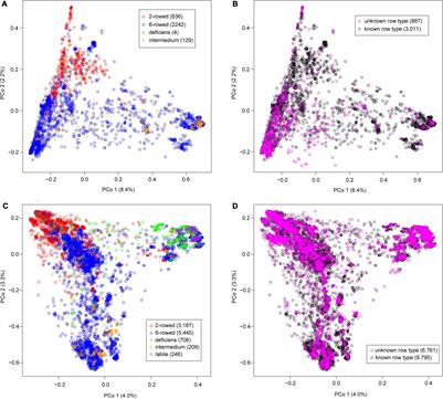 Using Genome-Wide Predictions to Assess the Phenotypic Variation of a Barley (Hordeum sp.) Gene Bank Collection for Important Agronomic Traits and Passport Information